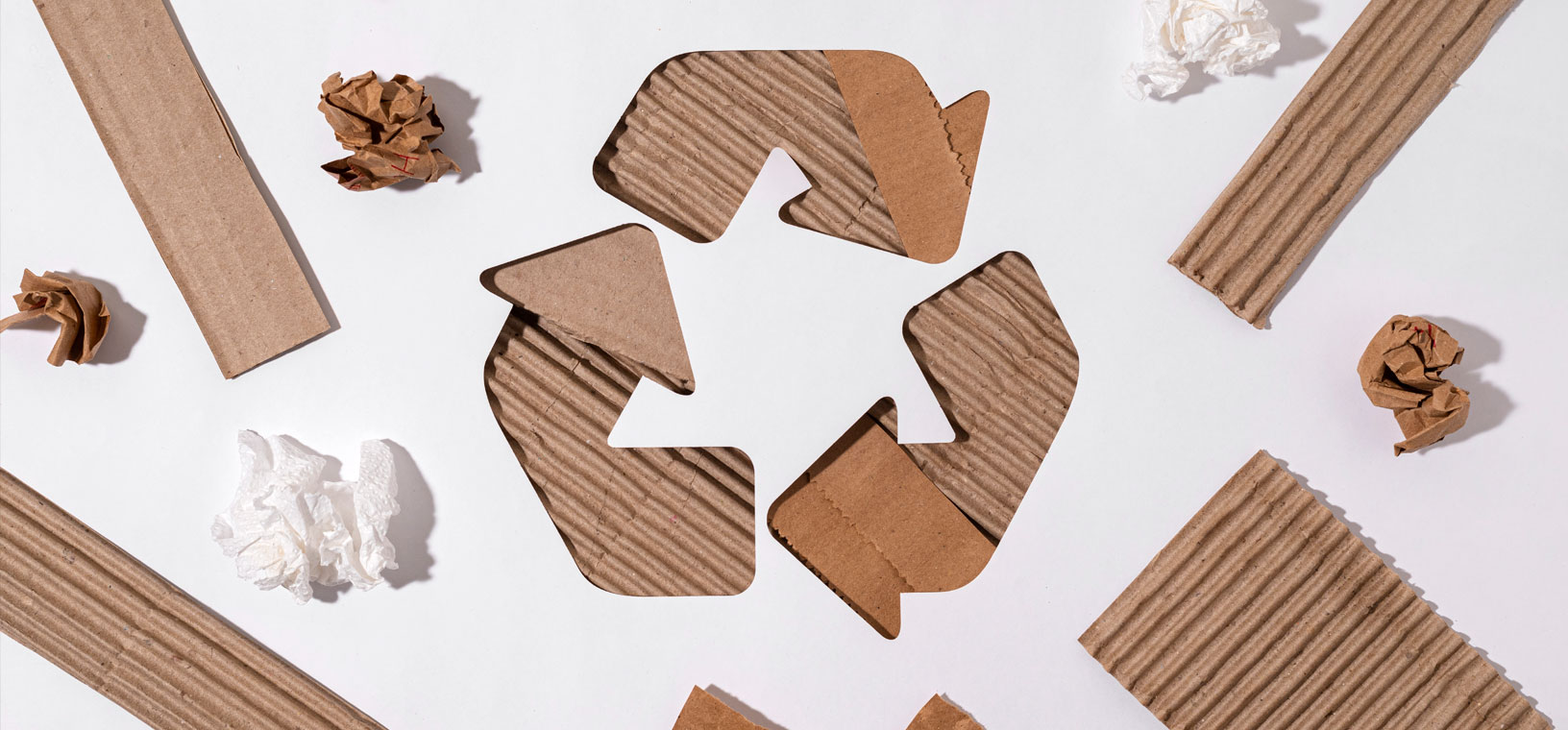 Cómo Reducir Costos en Empaque con Materiales Ecológicos